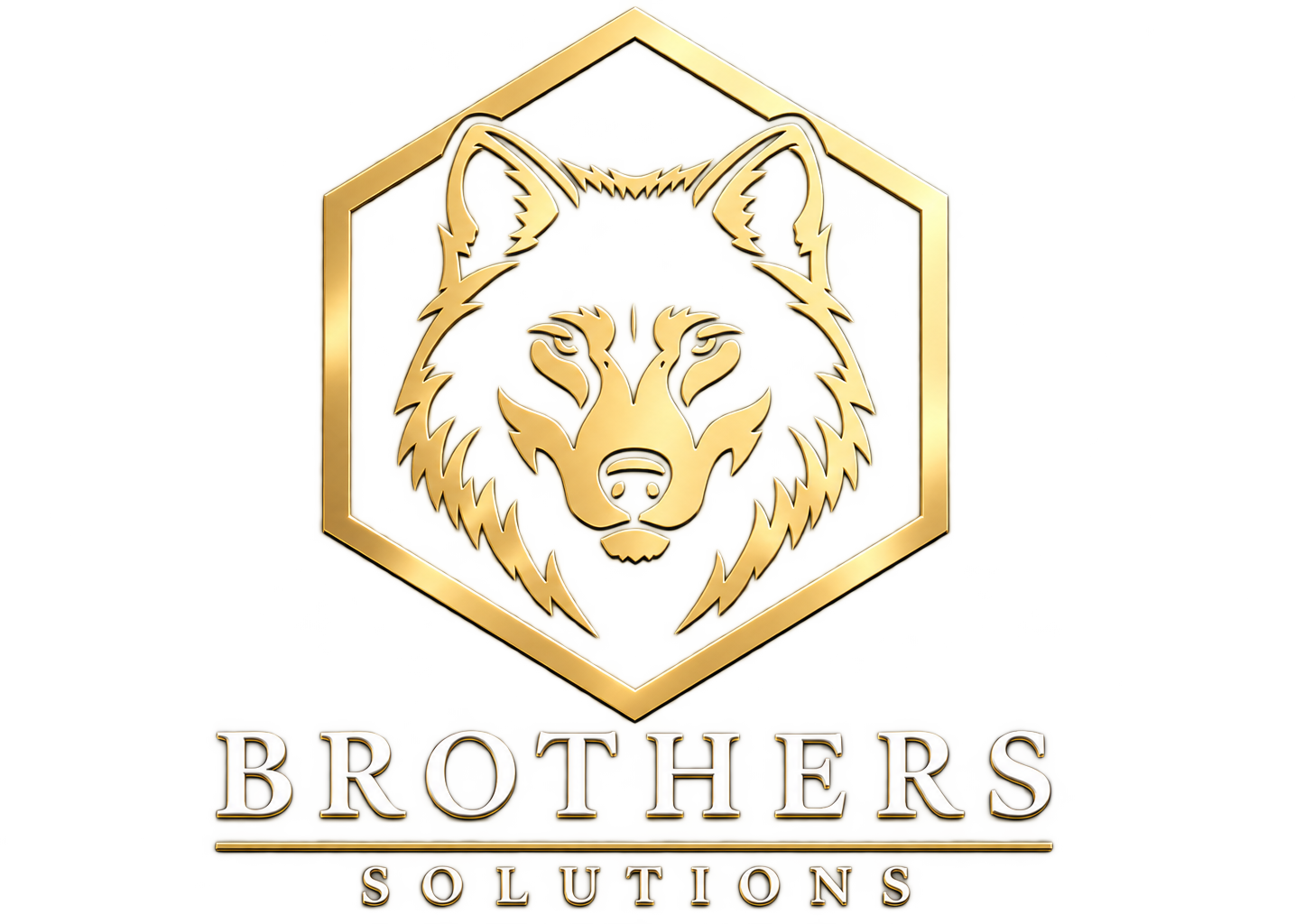 Brothers Solutions — logótipo